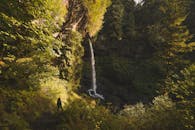 探索被俄勒冈州郁郁葱葱的森林所环绕的瀑布的宁静