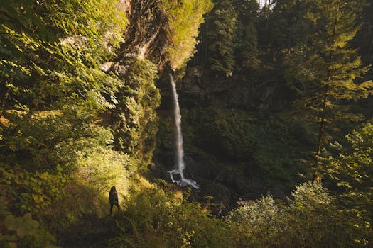 探索被俄勒冈州郁郁葱葱的森林所环绕的瀑布的宁静