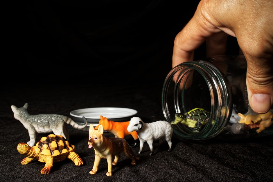 Vibrant miniature animal figures spill from a glass jar in a playful still life setup.