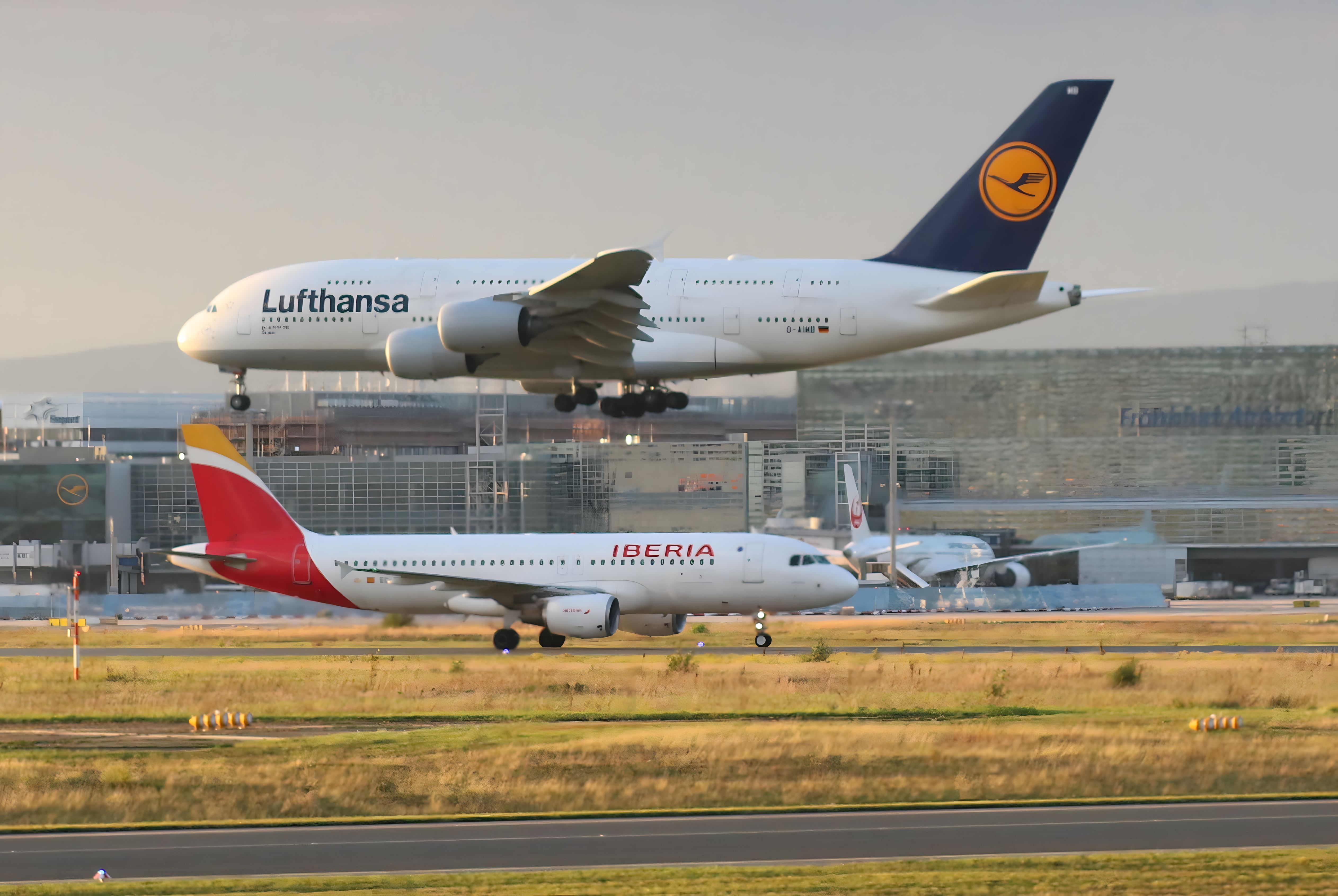 Gratis To fly, Lufthansa og Iberia, i Frankfurt Lufthavn under solnedgang. Lagerfoto