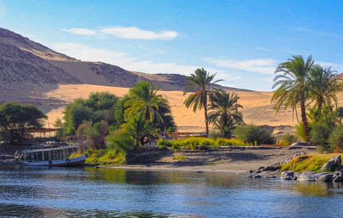 Free stock photo of aswan, egypt, green Stock Photo