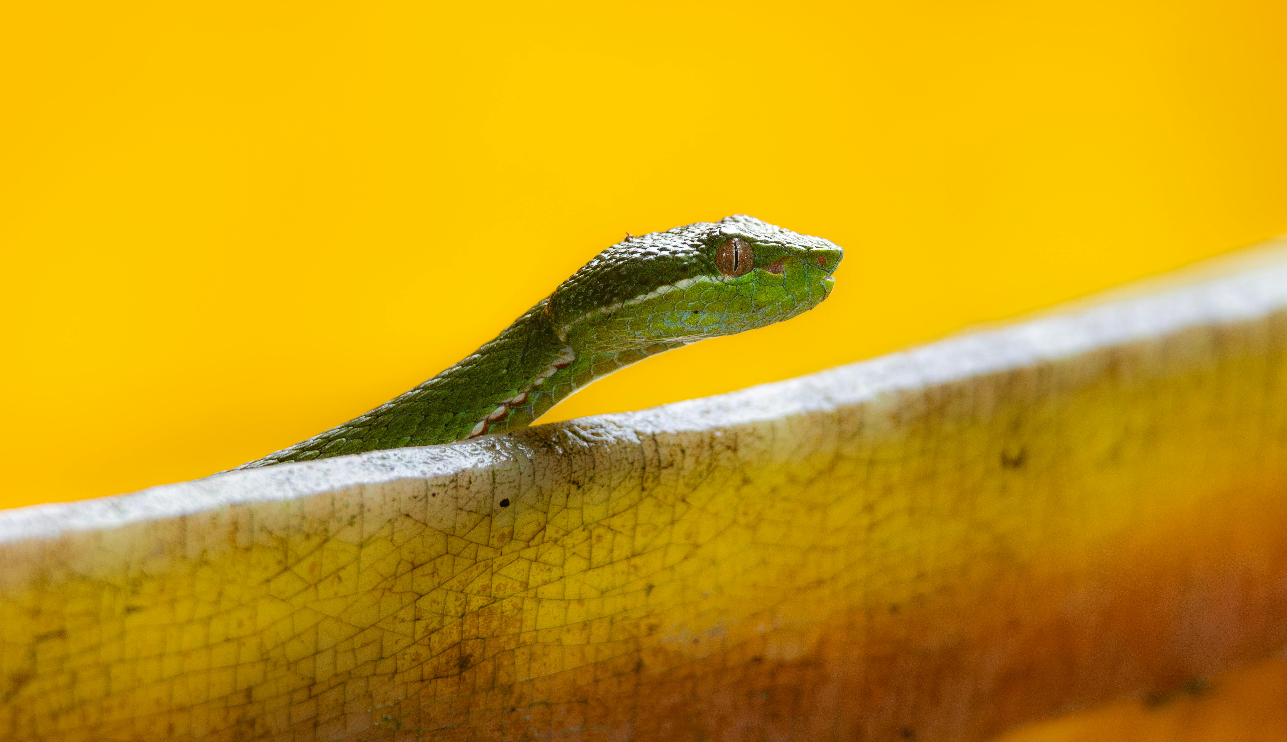 提高警覺！防範彩券詐騙 🔍💰