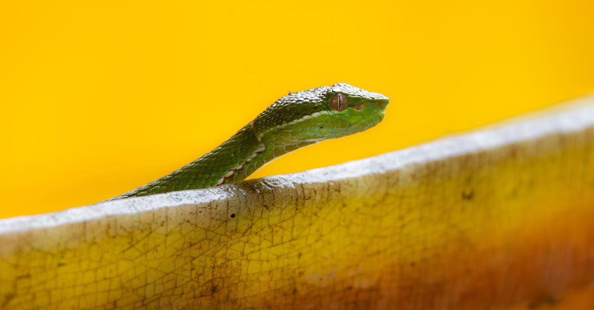 提高警覺!防範彩券詐騙 🔍💰