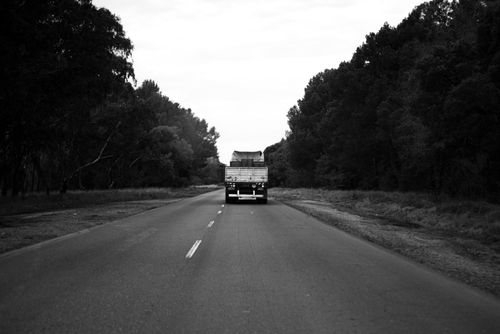 Free A black and white photo of a truck on a rural road surrounded by trees in Buenos Aires, Argentina. Stock Photo