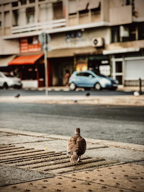 Auto Title Loans San Antonio, Texas