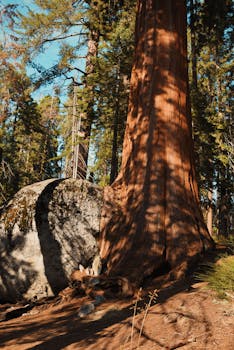 Image by Katie Mukhina