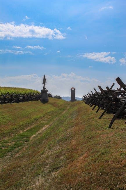 Boraldai Battlefield