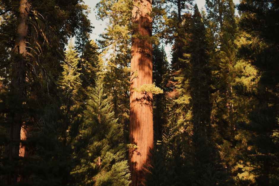 New leaders, new fund: Sequoia has raised $7B to expand its AI bets
