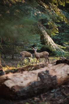 Image by Katie Mukhina