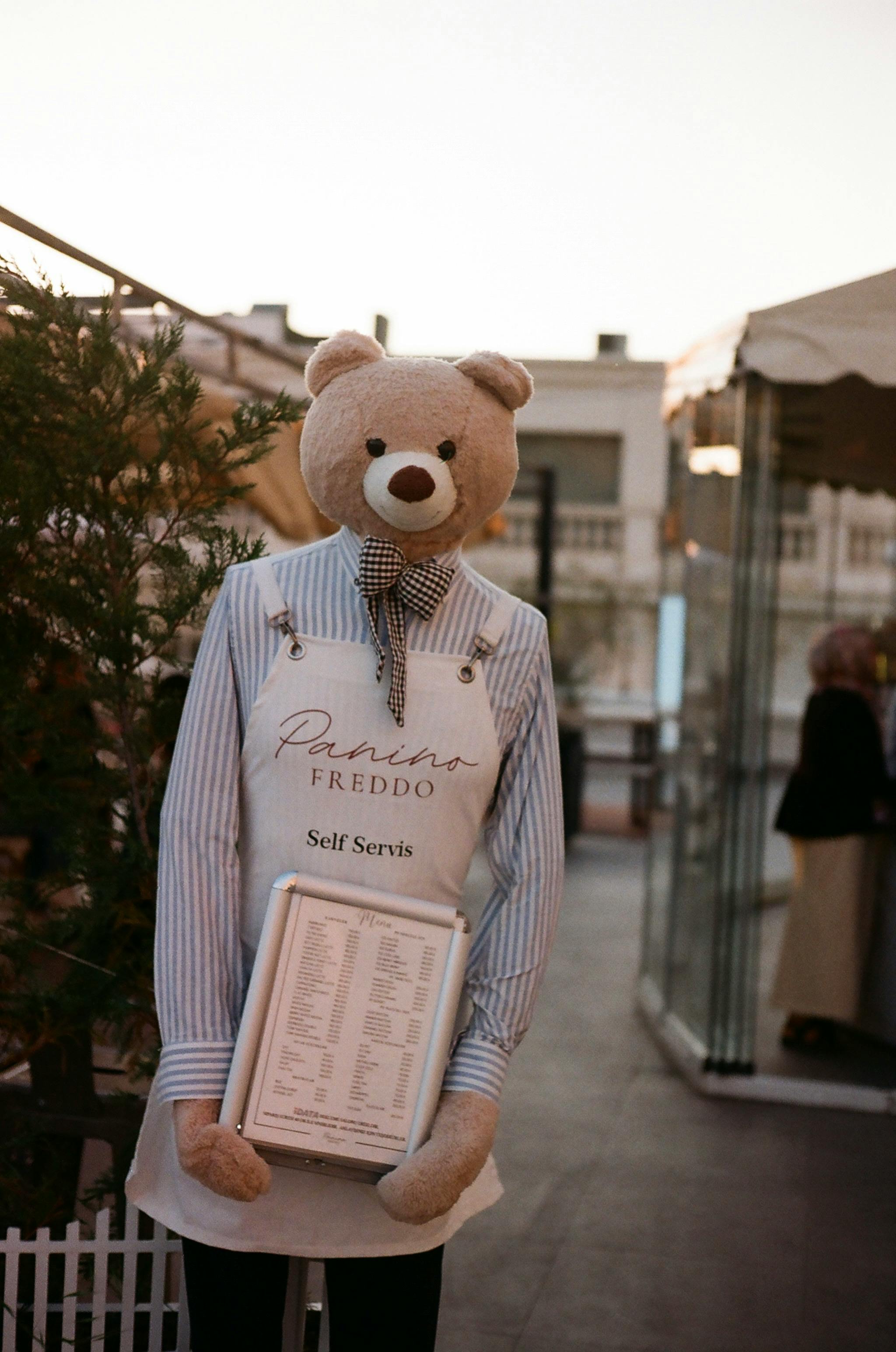 Bear Greg - A Martian Ricorso