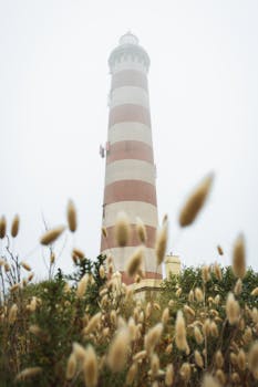 Vertical view of Barra Lighthouse in Aveiro, Portugal, shrouded in fog, surrounded by wild grasses.