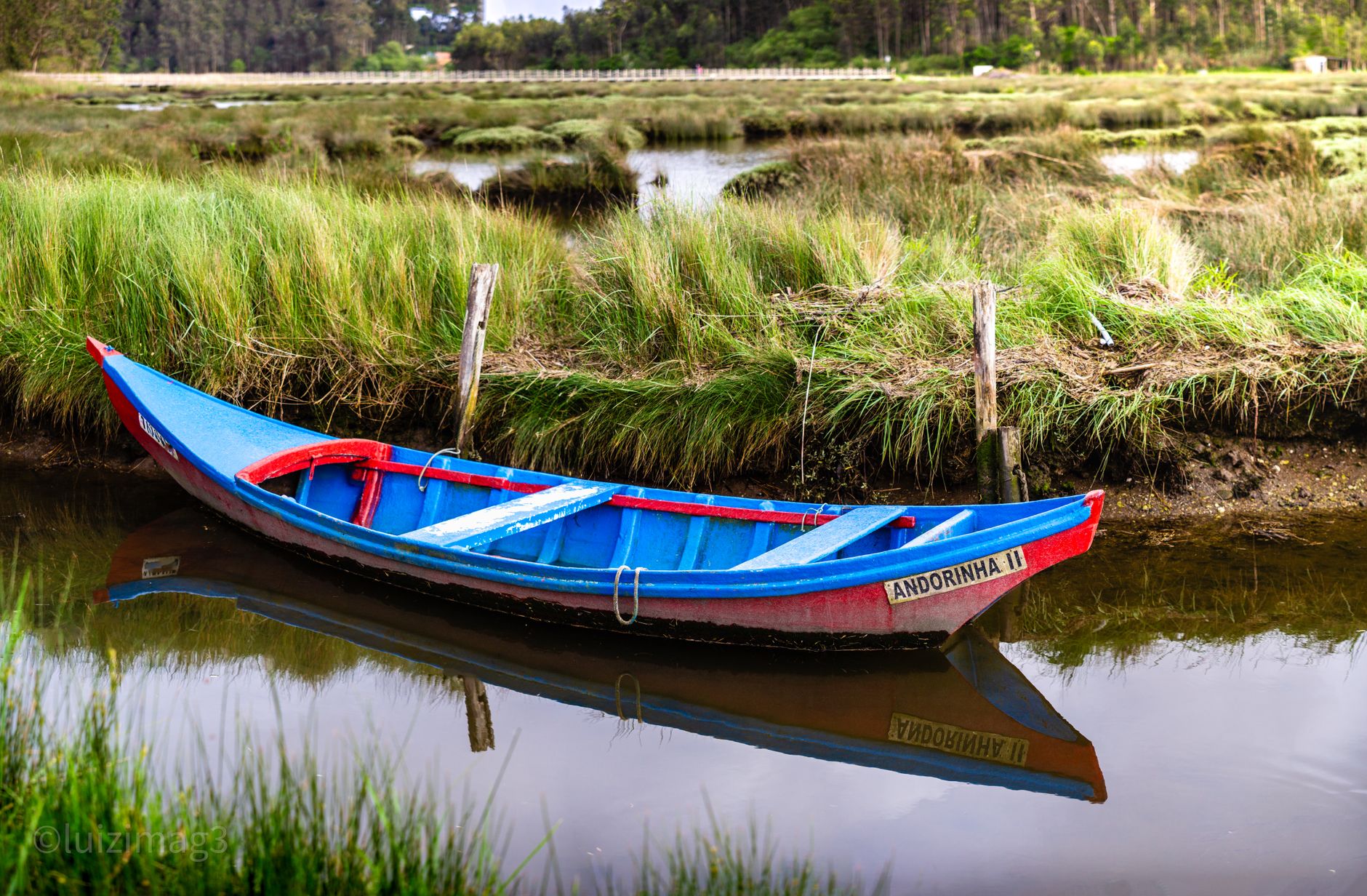 A vibrant traditional moliceiro boat in the scenic canals of Aveiro, surrounded by lush greenery.