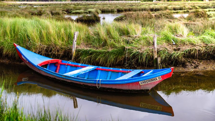 How to Buy a Fishing Boat: A Beginner's Guide