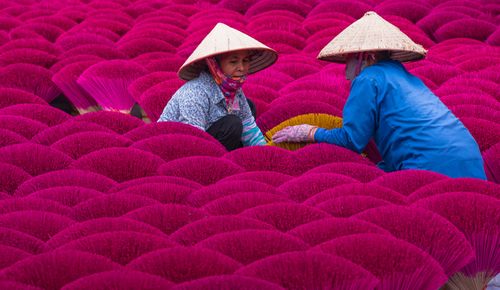 Free Two women in traditional hats sort colorful incense sticks outdoors. Stock Photo