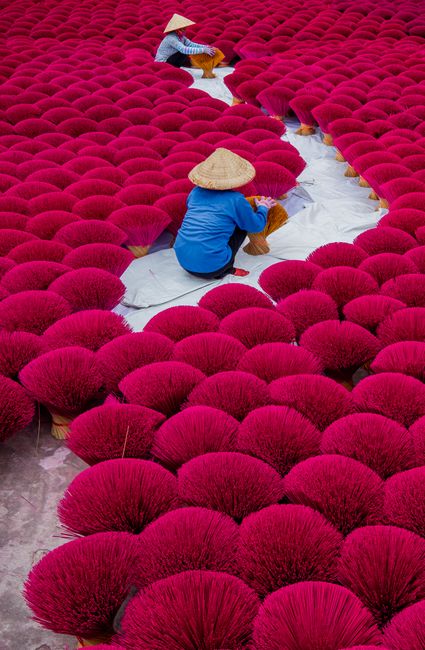 Workers arranging vibrant pink incense in Vietnam, showcasing traditional craftsmanship.