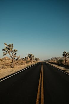 A deserted highway through Joshua Tree National Park with iconic trees and clear skies, ideal for road trips.