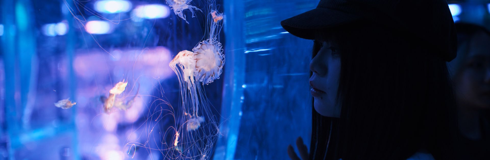 A woman in a hat watches jellyfish illuminated by blue light in an aquarium.