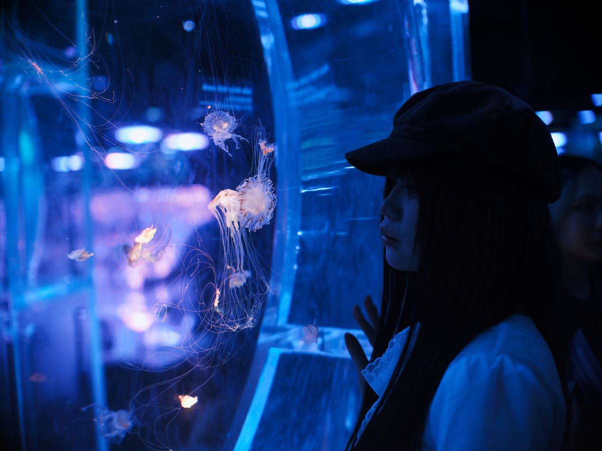 Osaka Aquarium Kaiyukan