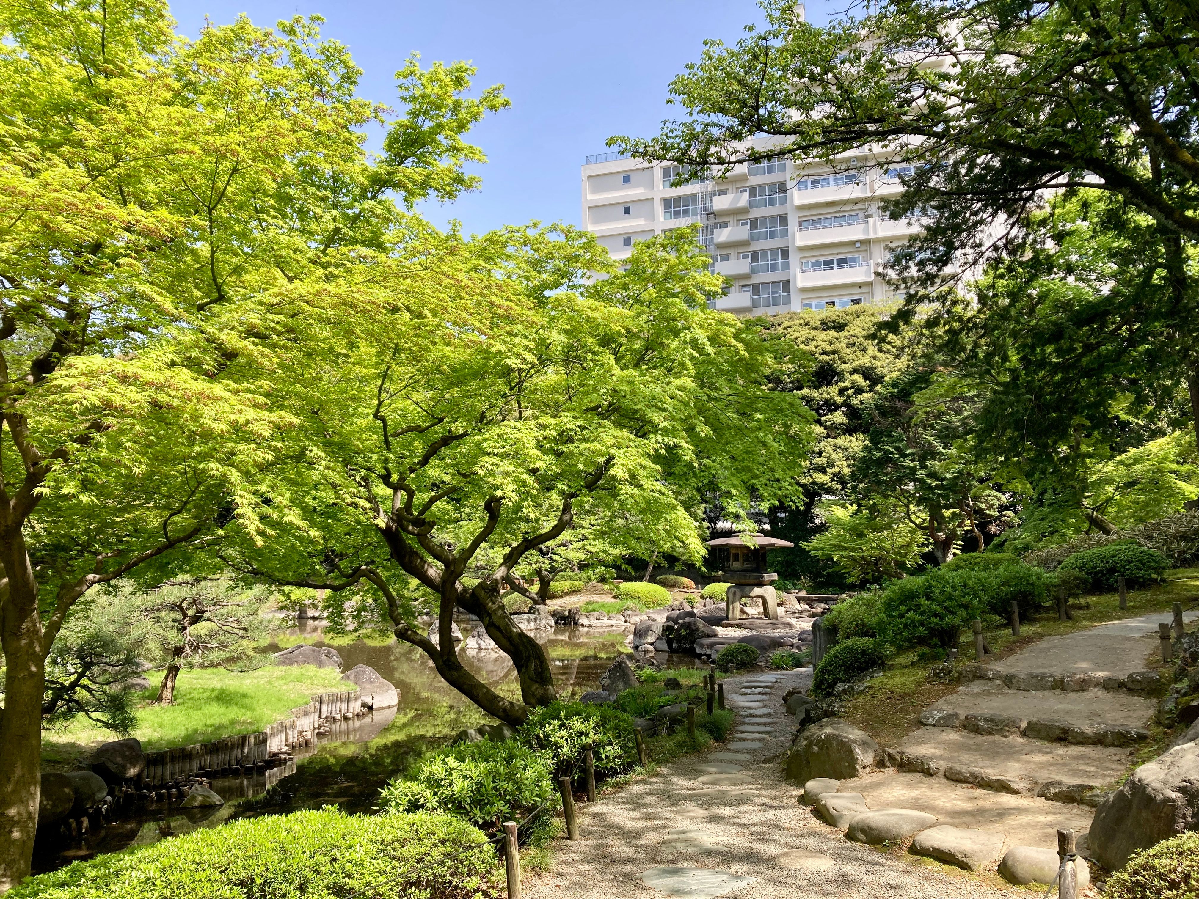 Kaizen: the Japanese small-steps philosophy that revolutionizes your year