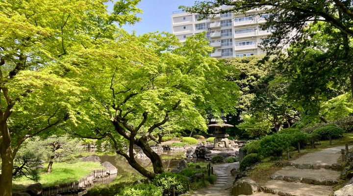 Kaizen: the Japanese small-steps philosophy that revolutionizes your year