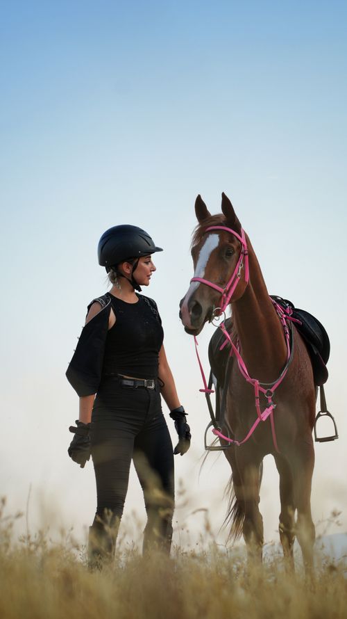 Free A woman with a brown horse in Safranbolu, Türkiye, during a clear day. Stock Photo