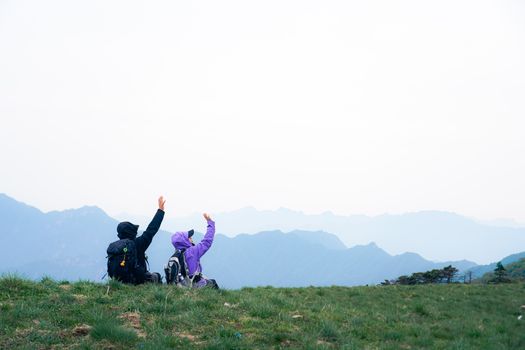 主人正在抚摸和奖励乖巧的狗狗