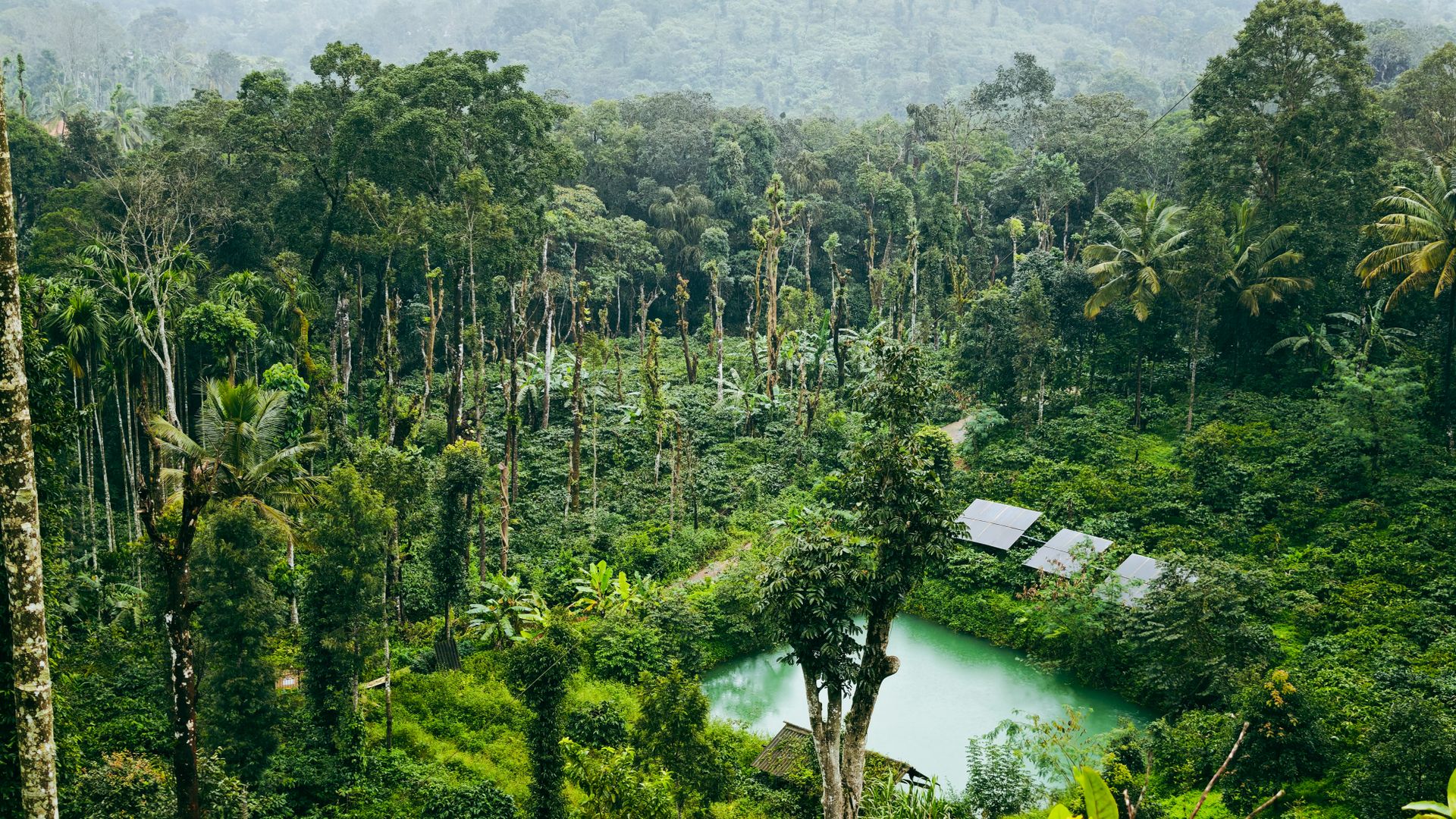 Sustainable Travel: How to Reduce Your Carbon Footprint