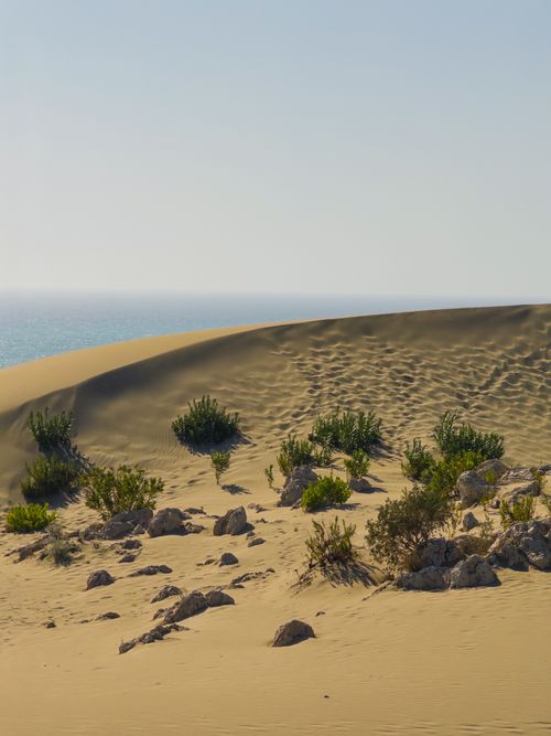 Free A tranquil view of rolling dunes and sparse vegetation with the Mediterranean Sea in the background in Antalya, Türkiye. Stock Photo