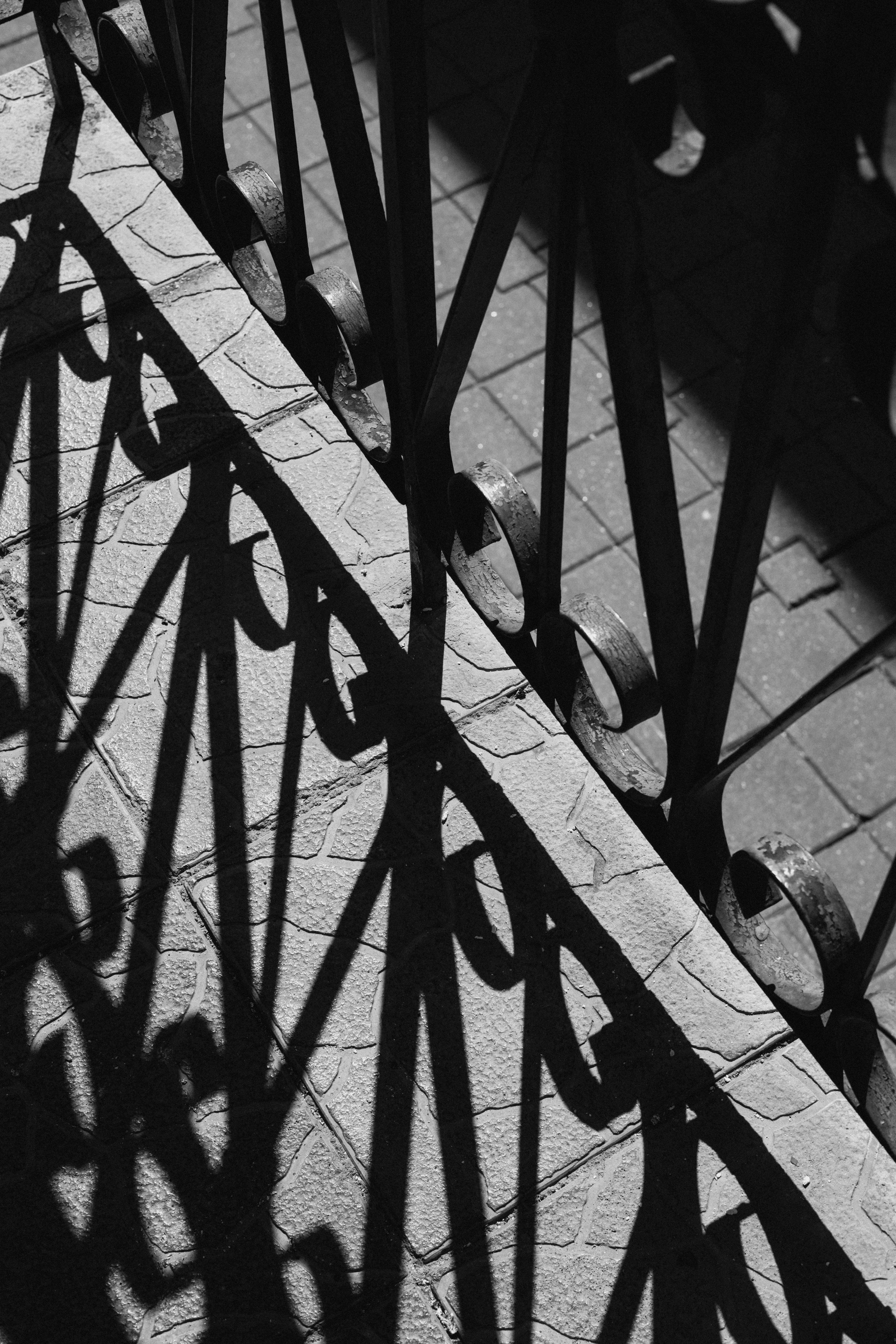 Gratuit Image en noir et blanc capturant des motifs d'ombre complexes projetés par une clôture métallique. Photos