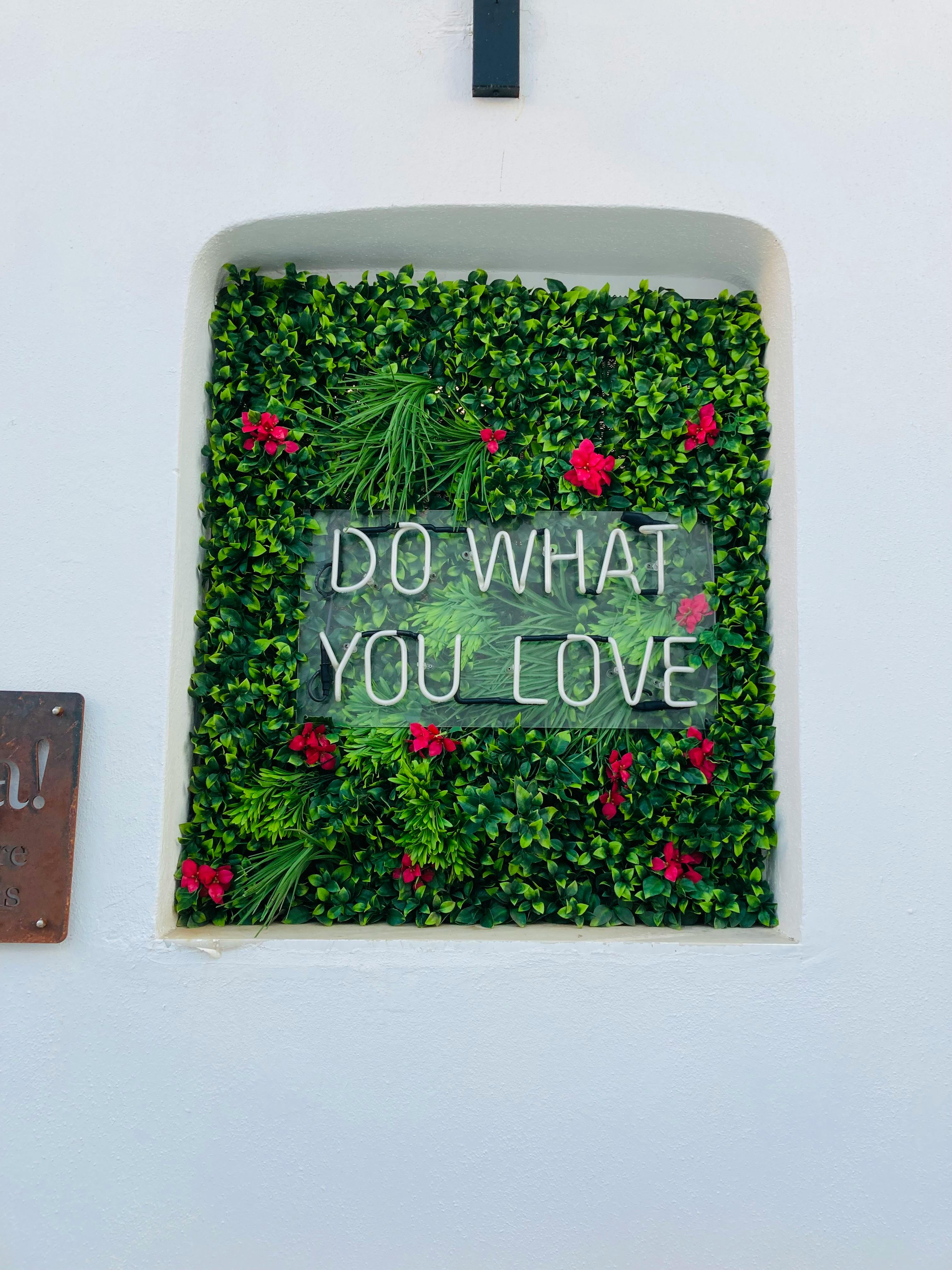 What Do You Stand To Lose If You Have No Self Disipline