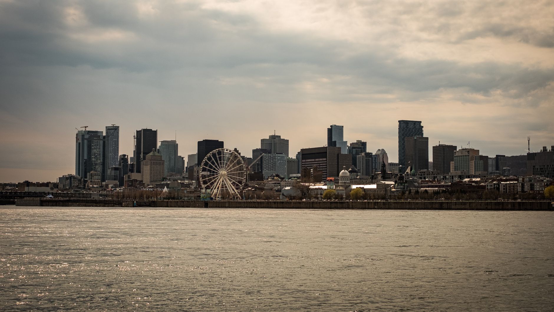 The Professional Profile of a Montréal Sugar Daddy — SponsorClub