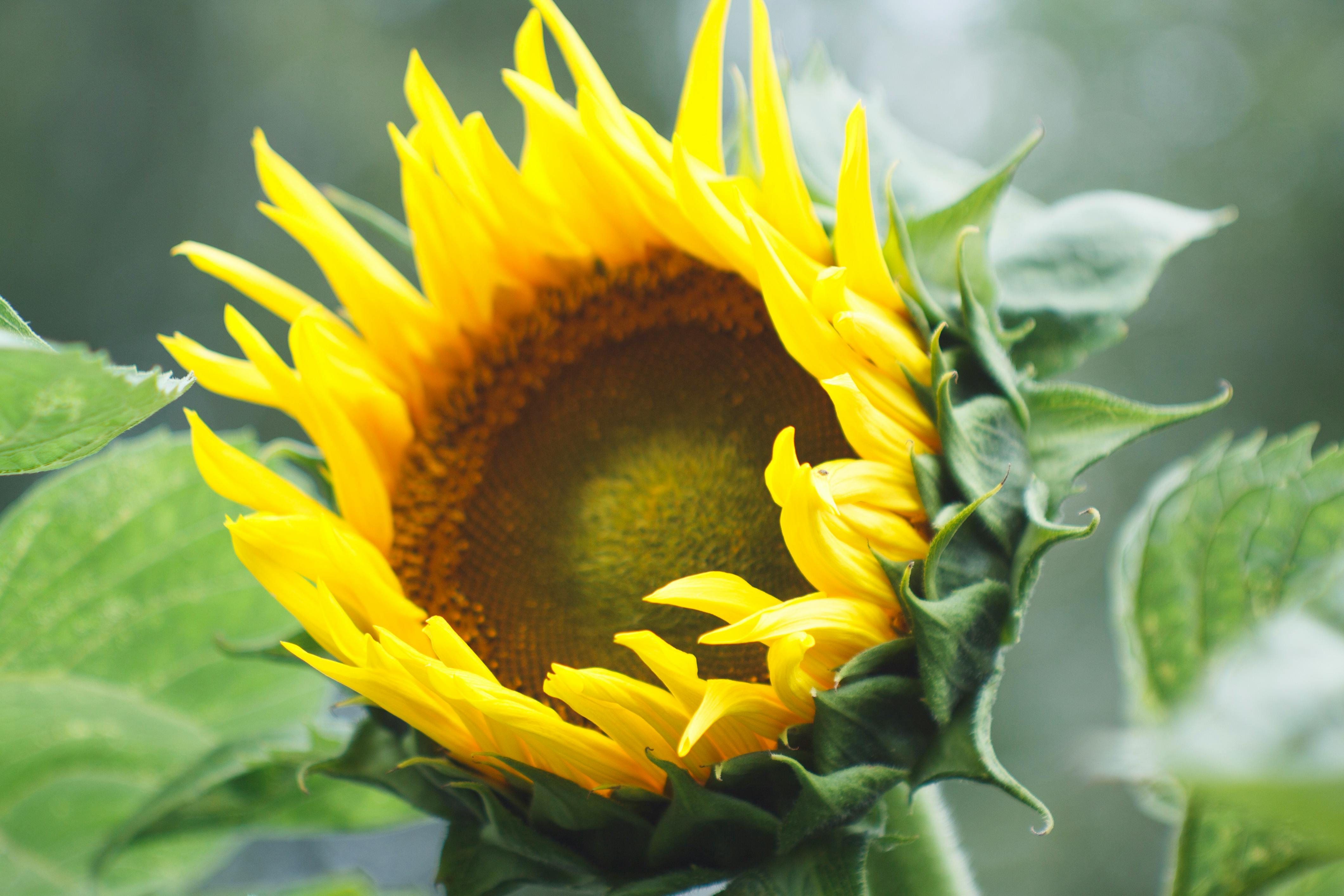 More Than Just a Fight: The Beauty of Muay Thai