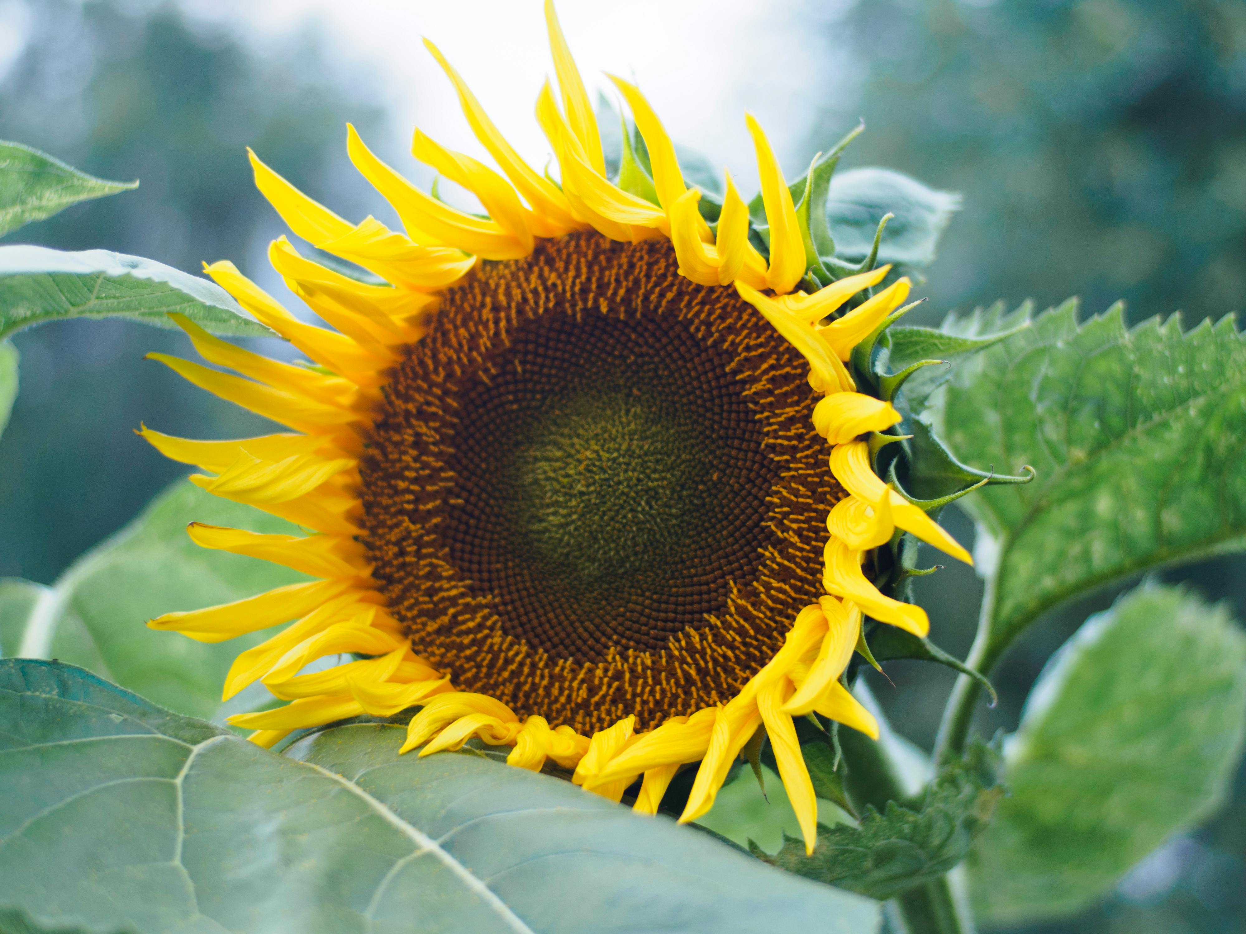 Qisas: Bukan Sekadar Balas Dendam