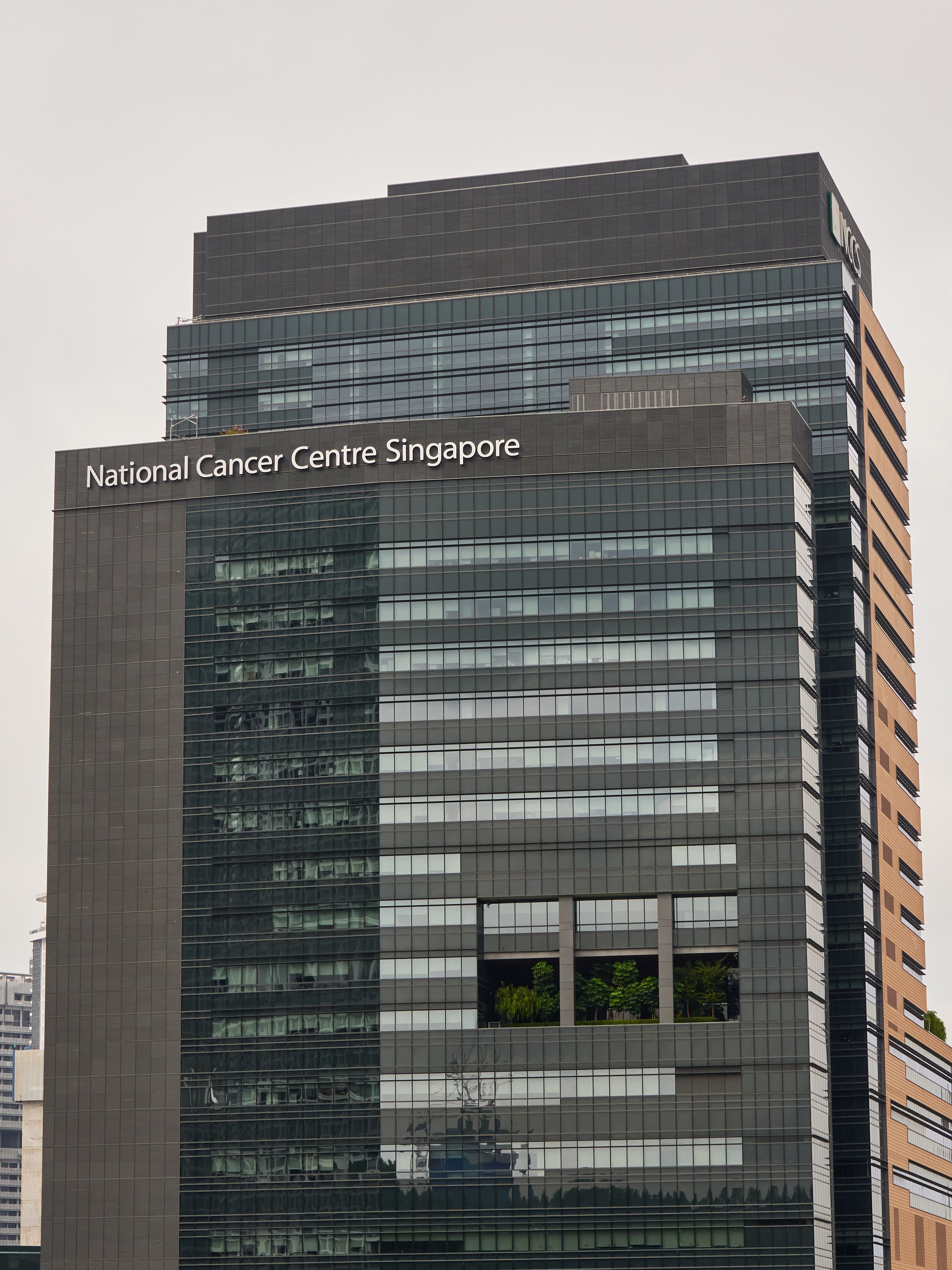 Ncs Singapore Logo NCS Copyright Free Music: A Playlist By NCS On
