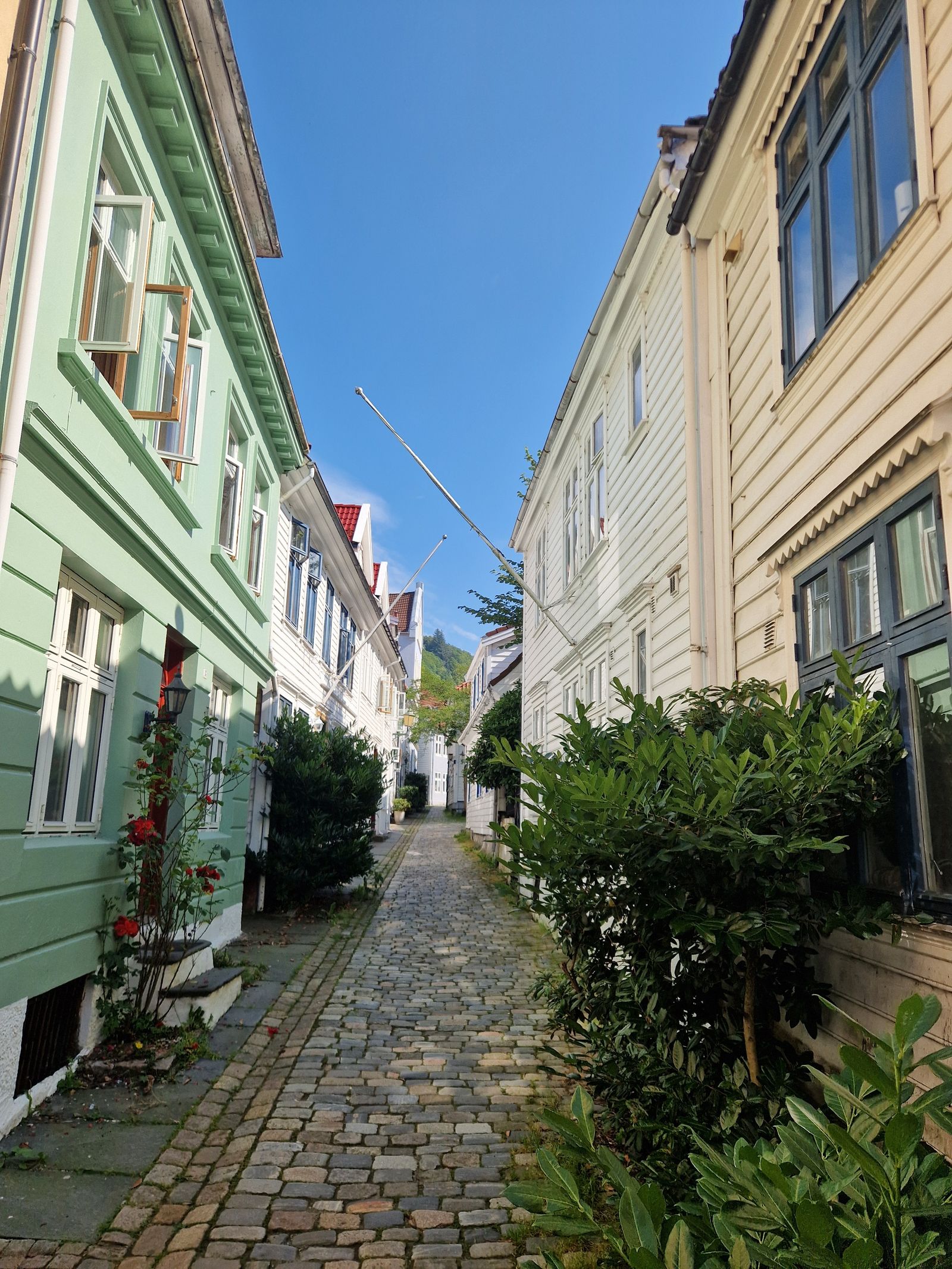 Ruelles pavées de Bergen