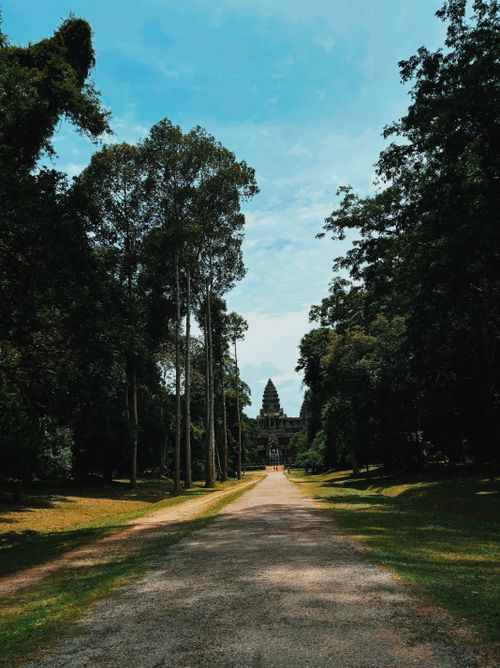 Free Majestic view of Angkor Wat with a tree-lined path, ideal for serene travel inspiration. Stock Photo