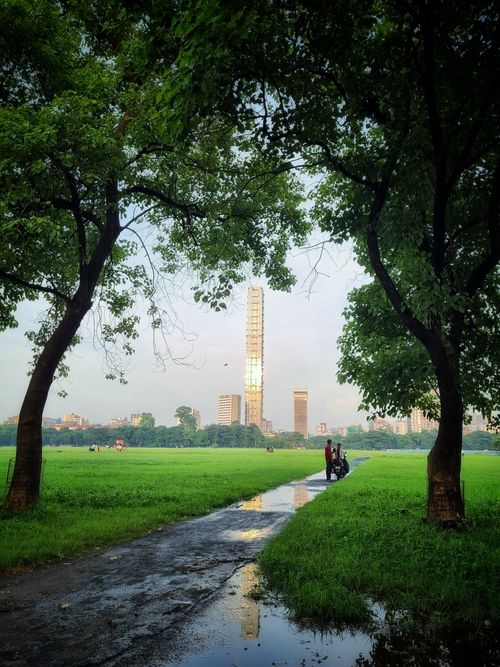 Free Urban landscape photograph showcasing a park with trees framing a city skyline and tall building. Stock Photo