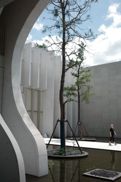 Free Concrete architecture with a striking tree and serene reflection pool. Stock Photo