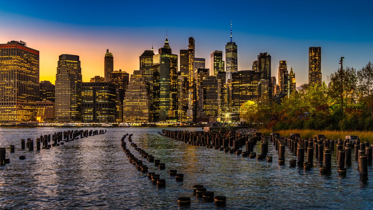 Best Grocery Giveaways in New York, NY: 2026 Local Guide