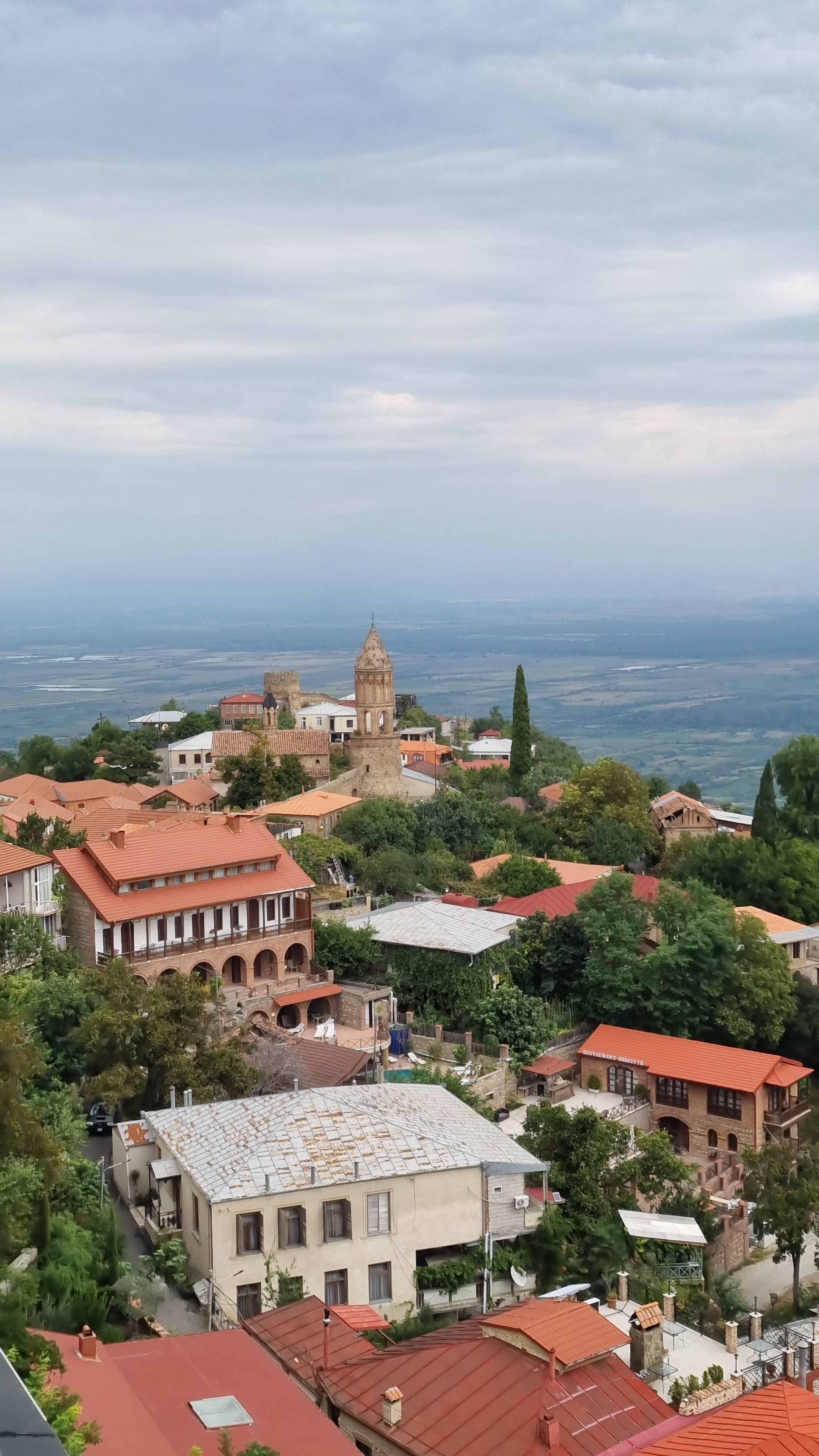 Scenic view of Sighnaghi, Georgia with historic architecture and lush landscape in summer.