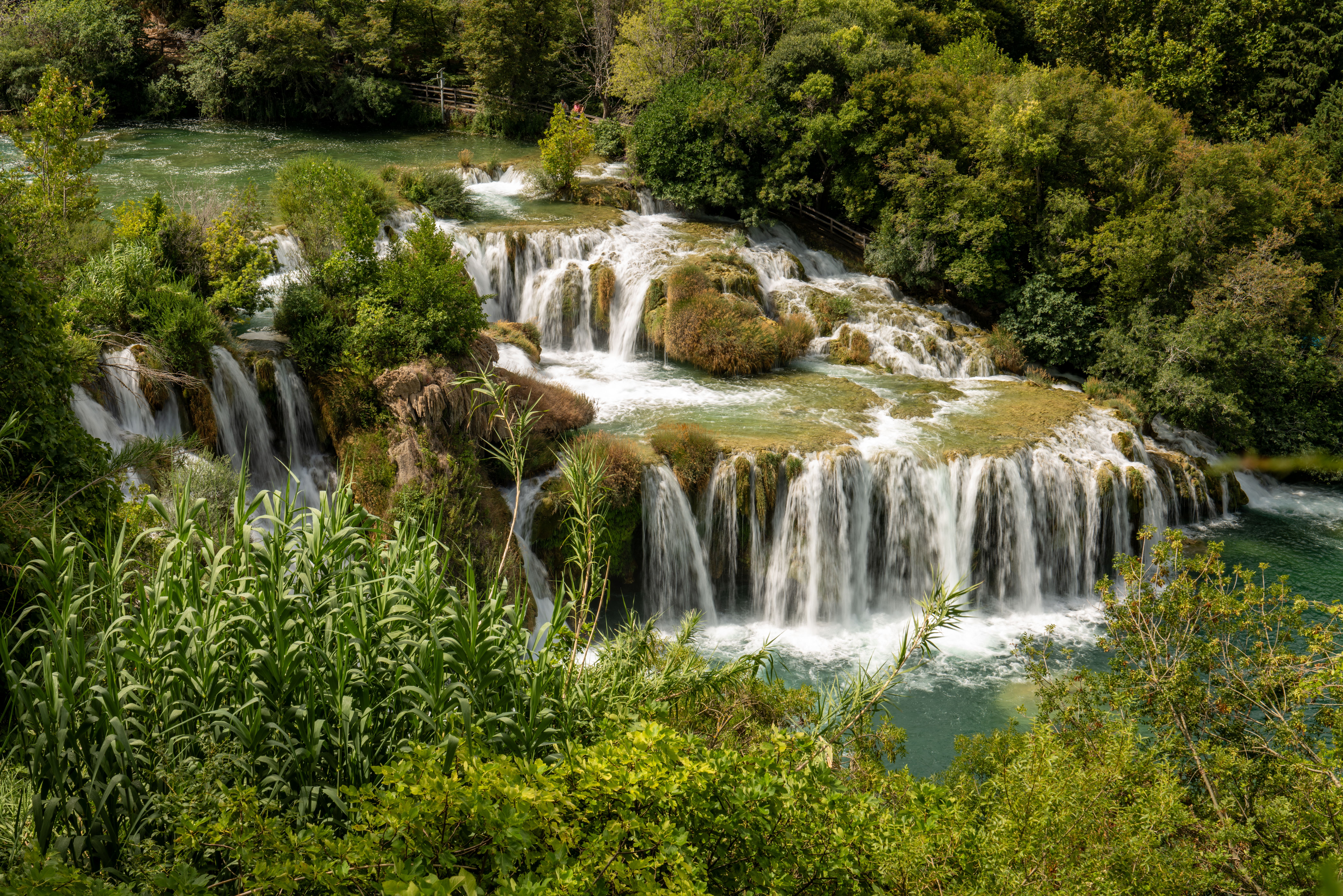 Beyond Green: How Regenerative Travel Transforms Your Vacation (and the Planet) in 2026
