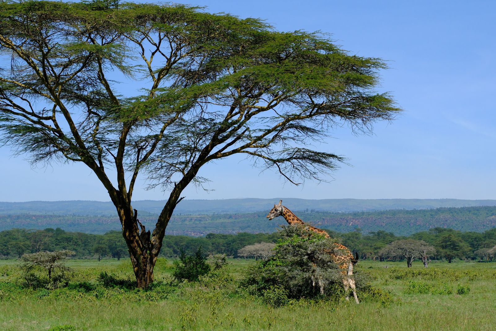 Kenya photography