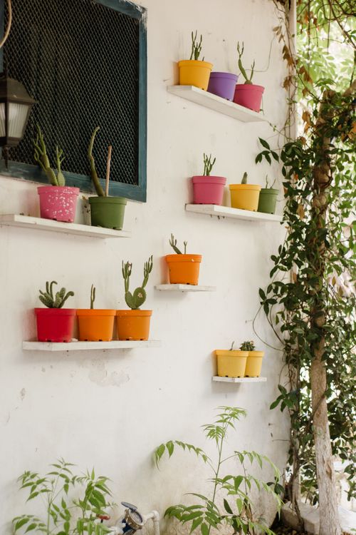 Free Vibrant potted cacti arranged on an outdoor wall, creating a lively garden vibe. Stock Photo
