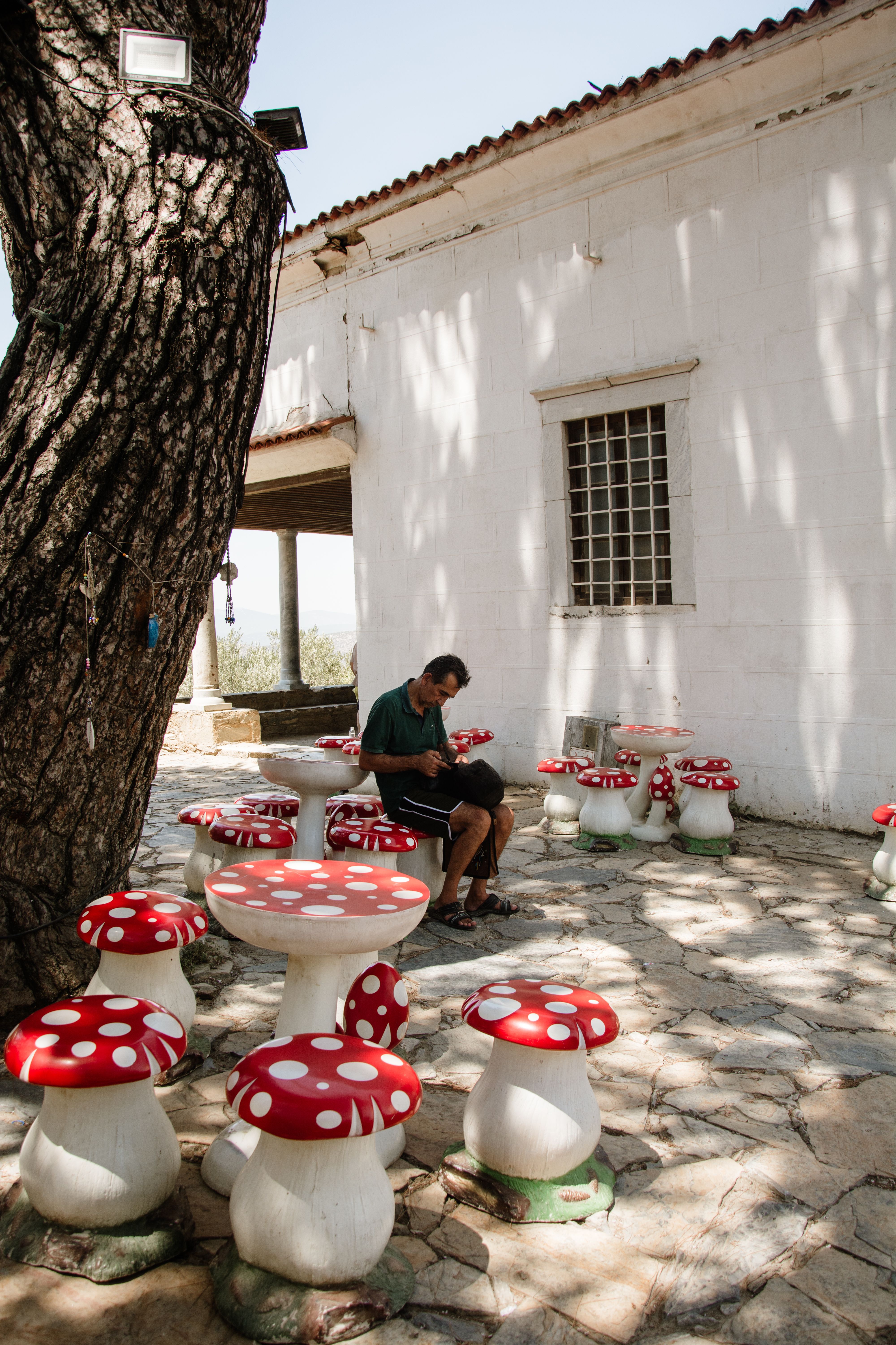 A man sits outdoors surrounded by whimsical mushroom tables in a sunlit garden area.