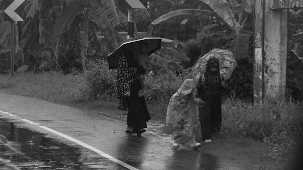 A family with umbrellas walks through the rain in rural Bangladesh, capturing monsoon season life.