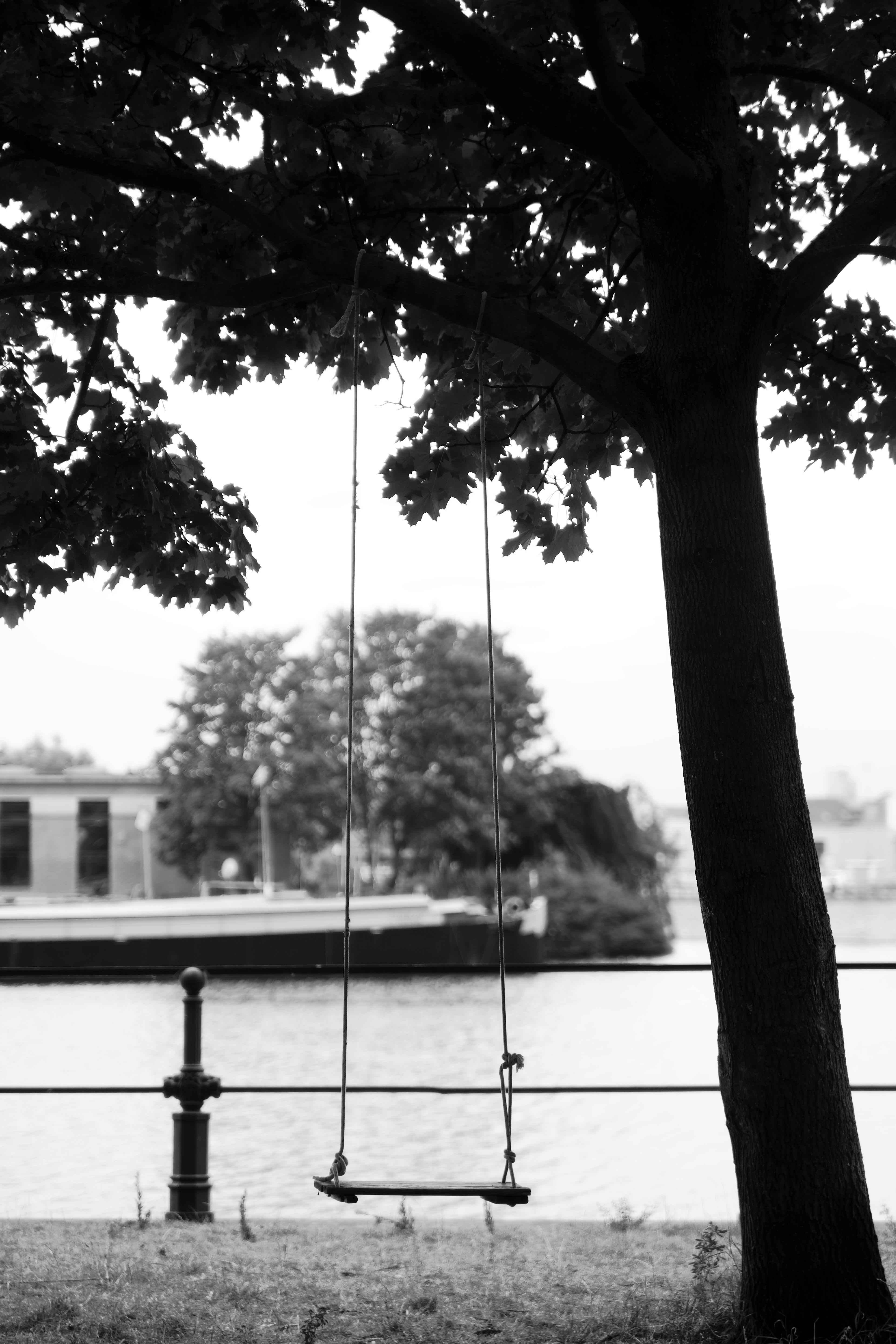 A tranquil black and white photo of a swing hanging from a tree by a river in Gent, Belgium.