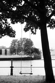 A tranquil black and white photo of a swing hanging from a tree by a river in Gent, Belgium.