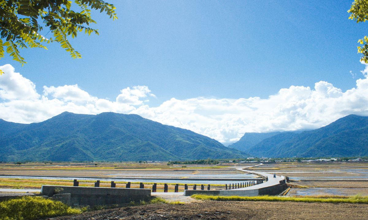 Cycle the Rice Fields of Brown Boulevard