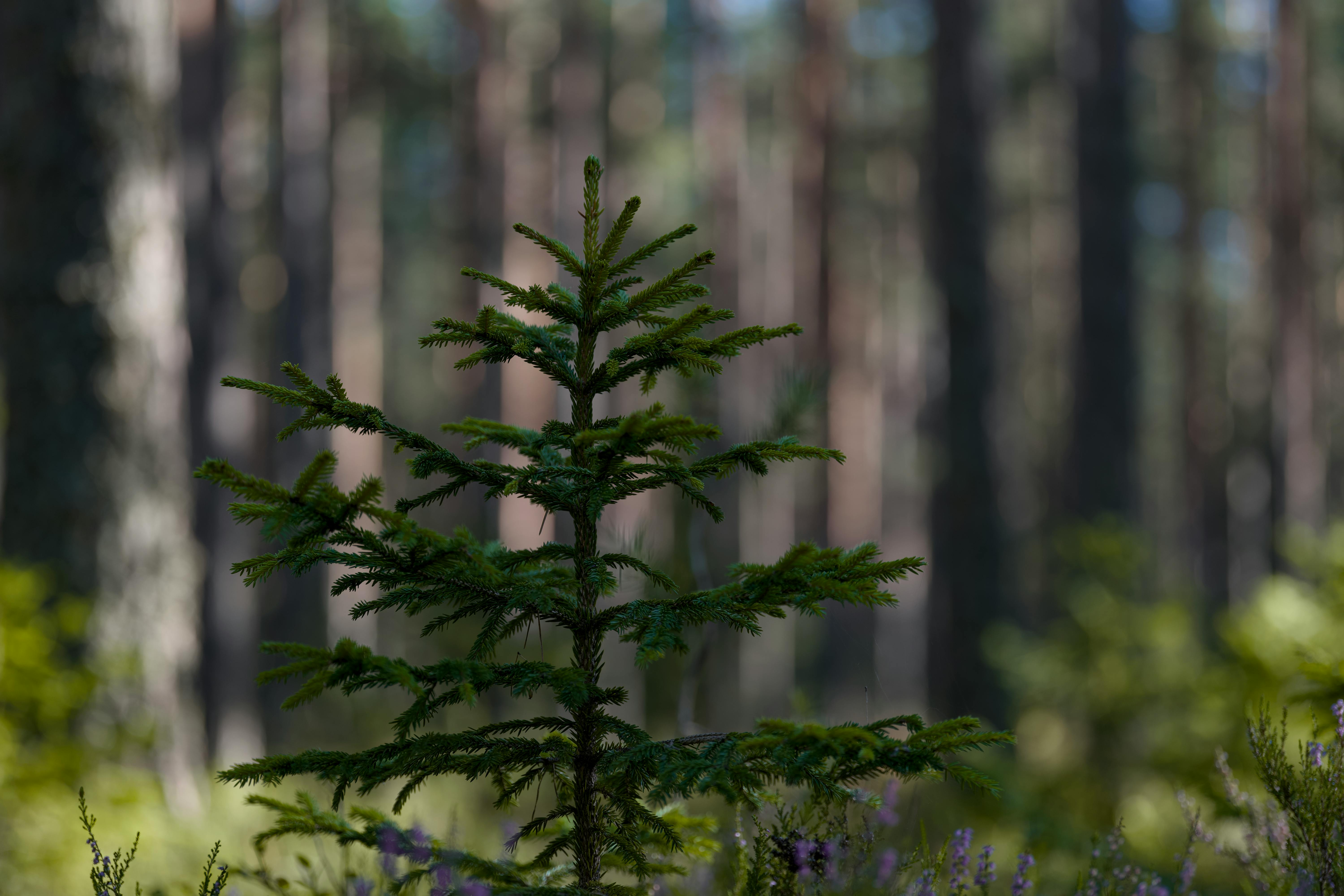 Image : Beyond Returns: Investing in Health, Tech, and a Sustainable Future