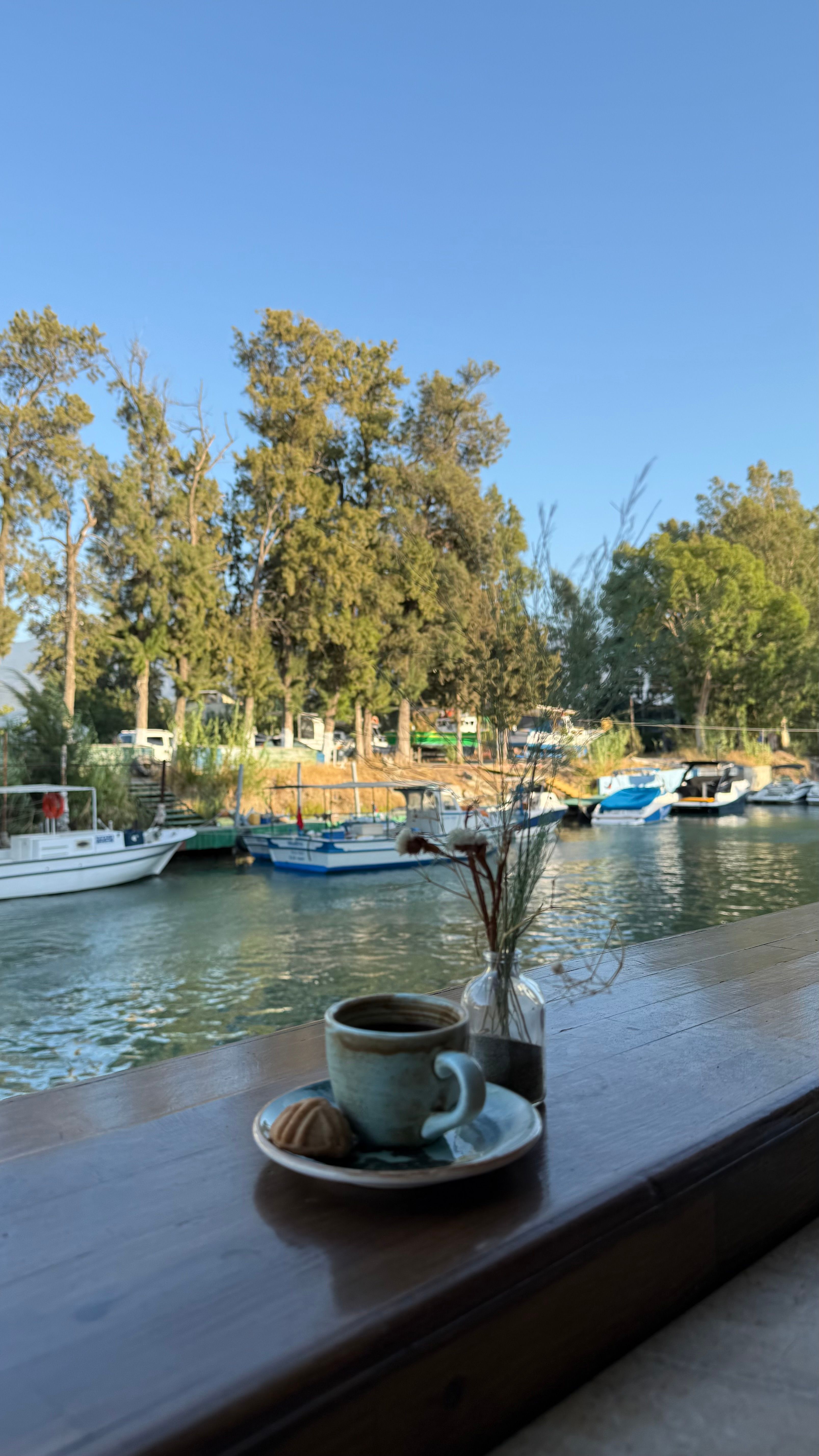 Enjoy a serene river view with coffee, boats, and lush trees in the warm daylight.